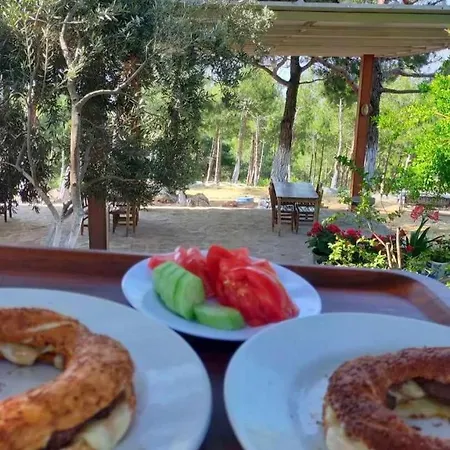 אתר קמפינג Ida Bay Bungolow אדרמיט